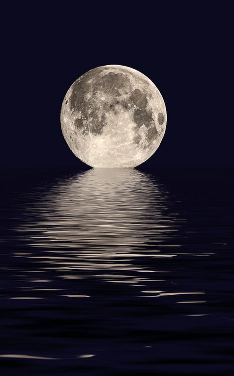 Blood Moon Lunar Eclipse, Moon On The Water, Next 6 Months, Moonlight Photography, Afrique Art, Luna Moon, Shoot The Moon, Moon Wallpaper, Beautiful Skies