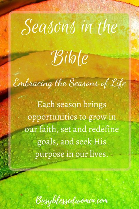 Spiritual Seasons, Seasons Change Quotes, Proverbs Woman, Pie Brownies, The 4 Seasons, African Quotes, Season Quotes, Seasonal Changes, Verse Mapping