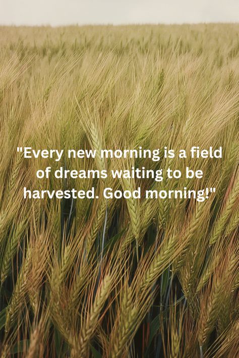 Discover a delightful collection of Good Morning Quotes with beautiful images that will inspire and motivate you every day. From the promise of a new beginning to the joy of greeting loved ones, our quotes capture the essence of starting the day right. Perfect for sharing on WhatsApp, these images are designed to brighten your mornings and those of your friends and family. Click on the website link to explore more uplifting quotes and add a touch of morning magic to your life. Motivational Good Morning Quotes Inspiration Motivation, Happy Good Morning Quotes Motivation, Good Morning Inspirational Quotes Wise Words, Have A Great Day Quotes, Good Morning Meaningful Quotes, Good Morning Quotes Inspirational, Great Day Quotes, Morning Magic, Relax Quotes