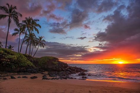 Maui - top 10 snorkeling beaches Sunset - Ulua Beach - Maui Nature, Hawaii Snorkeling, Maui Snorkeling, Tattoos Infinity, Best Beaches To Visit, Tattoos Mandala, Beach Sunset Wallpaper, Maui Beach, Best Snorkeling