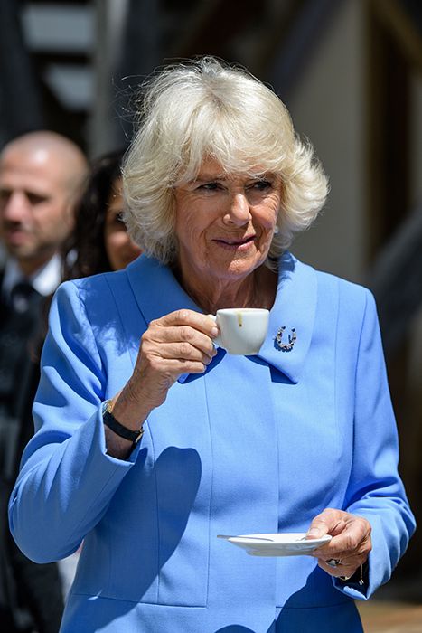 Duchess Kate, Elizabeth King, Food Habits, Camilla Duchess Of Cornwall, Queen Camilla, Prince Charles And Camilla, Camilla Parker Bowles, Royal King, Duchess Of Cornwall