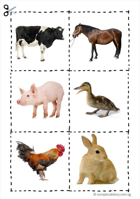 The ability to match is a fundamental skill to many concepts. It is also essential to language development when a child is learning to read or write. In this printable, your child will learn to attend to the details of each farm animal by comparing their different features. 3rd Worksheets, Printable Farm Animals, Farms Animals, Farm Animals For Kids, Preschool Activities Printable, Farm Animals Activities, Animal Flashcards, Animal Printables, Farm Activities