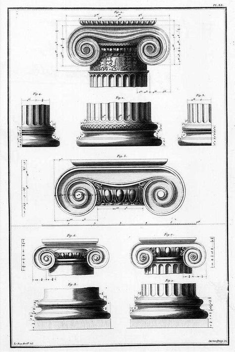 A volute is a spiral scroll-like ornament that forms the basis of the Ionic order, found in the capital of the Ionic column. It was later incorporated into Corinthian order and Composite column capitals. Corinthian Order, Ionic Order, Architecture Antique, Ionic Column, Architectural Orders, Istoria Artei, Grece Antique, Ancient Greek Architecture, Art Ancien