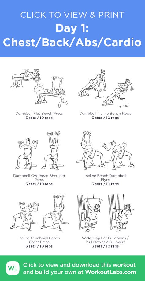 Day 1: Chest/Back/Abs/Cardio – click to view and print this illustrated exercise plan created with #WorkoutLabsFit Back And Abs Workout, Upper Body Workout Gym, Gym Workouts Machines, Chest And Back Workout, Abs Cardio, Workout Labs, Latihan Dada, Bench Workout, Gym Plan