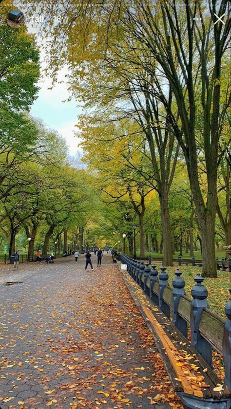 Korea Park Aesthetic, Park Aesthetic Korea, City Park Aesthetic, Central Park Wallpaper, Central Park Christmas, Story Inspo Aesthetic, Japan Tokyo Aesthetic, Central Park Aesthetic, City Lights New York