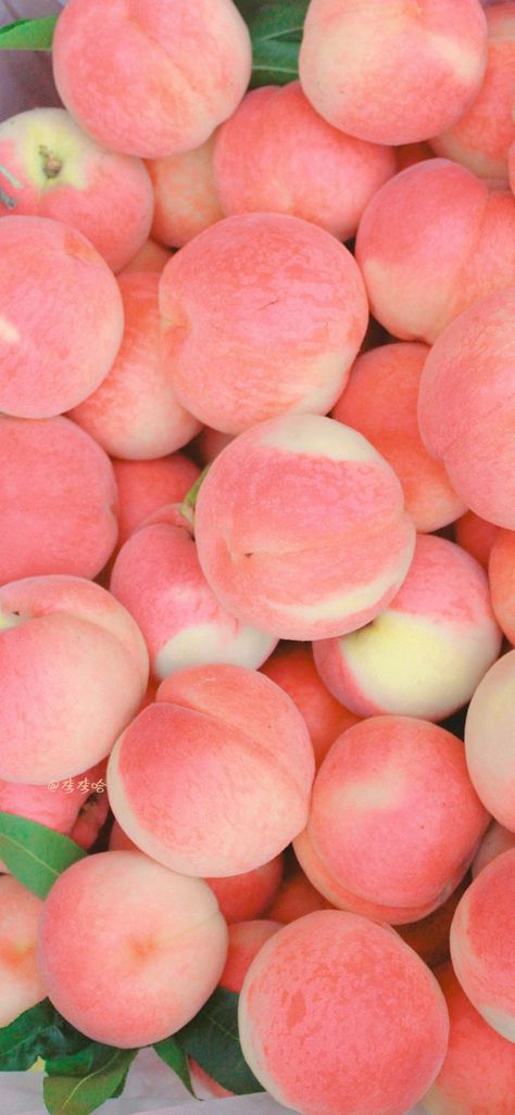 Tumblr, Peaches Aesthetic Wallpaper, Pink Fruit Aesthetic, Buah Peach, Peach Aesthetic Wallpaper, Peaches Wallpaper, Peach Wallpaper, Peach Aesthetic, Wallpaper Project