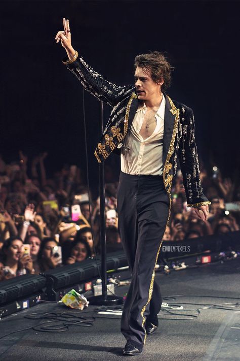 Harry Styles Concert Outfits, Harry Styles Clothes, Harry Styles Concert Outfit, Hslot Outfit Ideas, Harry Outfits, Harold Styles, Harry Styles Outfit, Harry Styles Tour, Harry Styles Baby