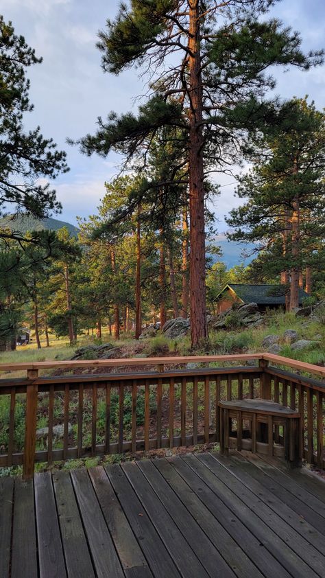 rocky mountain forest view from the cabin deck Home Surrounded By Trees, Cabin On The Lake Aesthetic, Cabin The Woods, Country House Outdoor Ideas, Log Cabins In The Woods Mountain, Living In The Forest Life, House In Pine Forest, Forest Living Aesthetic, Big Cabin In The Woods