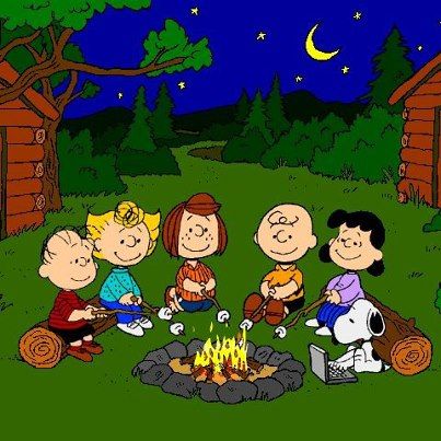 Roasting marshmallows Humour, Gifs Snoopy, Charlie Brown Y Snoopy, Woodstock Snoopy, Sally Brown, Peanuts Cartoon, Combi Vw, Peanuts Characters, Snoopy Pictures