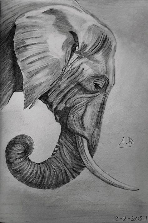 Elephant Face Drawing, Indian Elephant Drawing, Elephant Art Drawing, Face Pencil Drawing, Animal Sketches Easy, Super Easy Drawings, Elephant Sketch, Realistic Animal Drawings, Elephant Artwork