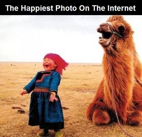 The Happiest Photo On The Internet Happy Photos, Animale Rare, Happy Pictures, 웃긴 사진, Beautiful Faces, Look At You, Feeling Happy, 귀여운 동물, I Smile