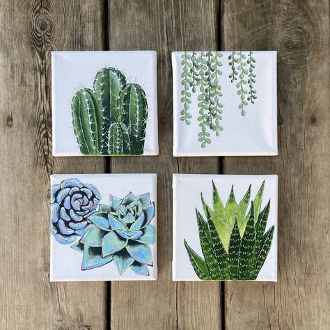 Acrylic painted succulents on stretched canvas Painted Plants On Canvas, Small Canvas Wall Art, Cactus Canvas Art, Simple Plant Painting Acrylic, 4 Square Painting Ideas, Square Paintings Acrylic, Painting Succulents Acrylic, Mini Canvas Plant Painting, Small Flower Paintings Acrylic