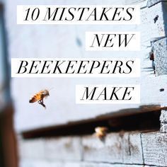 10 MISTAKES NEW BEEKEEPERS MAKE :http://beekeepinglikeagirl.com/10-mistakes-new-beekeepers-make/ Top Bar Hive, Bee Hive Plans, Backyard Bee, Beekeeping For Beginners, Raising Bees, Buzz Bee, Backyard Beekeeping, Bee Farm, Bee Keeper