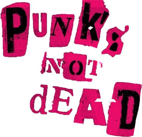 1980s Punk Aesthetic, Punk Rock Album Covers, Punk 2000s Aesthetic, Punk Aesthetic Icon, Punk Aesthetic Art, 2000s Pop Punk Aesthetic, Punk Pfps, Punk Banner, Punk Visual Art