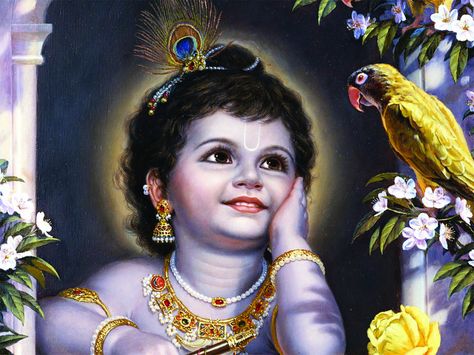 Lord Krishna Pictures 12 Krishna Birth, Yashoda Krishna, Krishna Lila, Krishna Drawing, Krishna Bhagwan, Shree Krishna Wallpapers, Little Krishna, Baby Krishna, Lord Krishna Hd Wallpaper