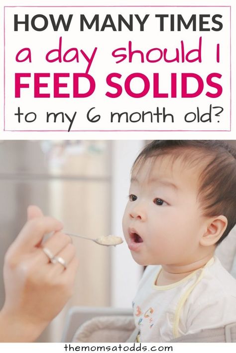 Six Month Feeding Schedule, What Should I Feed My 6 Month Old, 6 Month Old Schedule With Solids, Weaning Schedule 6 Months, 6 Month Solids Schedule, 6 Months Feeding Schedule, 6 Month Old Schedule Food, What Can I Feed My 6 Month Old, Good Ideas For 7 Month Old