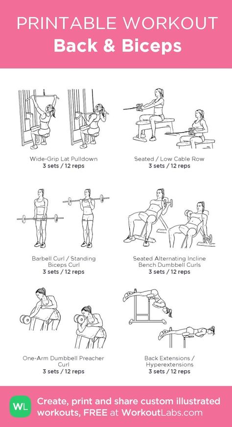 Rutina de bíceps Back And Bis, Back And Bicep Workout, Workout Morning, Workout Labs, Back Workout Women, Gym Workout Plan For Women, Printable Workouts, Gym Routine, Triceps Workout