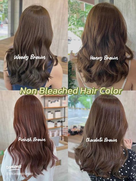 Trending Non Bleached Hair Color | Gallery posted by Picasso Hair | Lemon8 Brown No Bleach Hair, Hair Color Ideas No Bleaching, Light Brown Without Bleach, Full Head Colour Brown, Ash Brown No Bleach, Hair Color For Black Hair Without Bleach, Hair Colour For Skin Tone, Warm Tones Hair Color, Brown Hair Colors Without Bleach