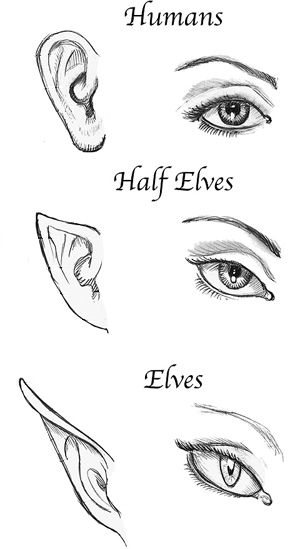 Half-elf | Forgotten Realms Wiki | Fandom Elf Drawings, Creaturi Mitice, Half Elf, Desen Realist, Siluete Umane, 얼굴 그리기, 인물 드로잉, Anime Drawings Sketches, Pencil Art Drawings