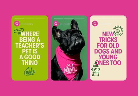 Bow Wow Academy: Bow Wow Academy Rebrand • Ads of the World™ | Part of The Clio Network Co Branding Logo Examples, Pet Branding, Dog Training School, 브로셔 디자인, Brand Refresh, Plakat Design, Dog Branding, Training School, Seni 3d