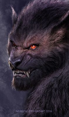 Wallpaper Hd Iphone, Werewolf Art, Vampires And Werewolves, Creatures Of The Night, Mythological Creatures, Mystical Creatures, Arte Fantasy, Arte Horror, Creature Design