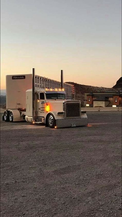 Bull Hauler, Cattle Trailers, Cattle Trucks, Custom Peterbilt, Texas Truck, Diesel Mechanics, Rv Truck, Train Truck, Old Ford Trucks