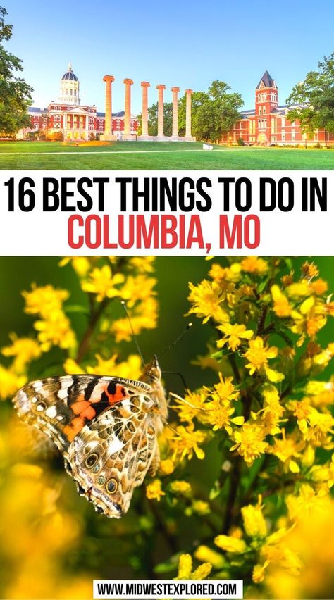 16 Best Things To Do In Columbia MO Missouri Hiking, Branson Missouri Vacation, Missouri Travel, Interesting Activities, South Dakota Vacation, Columbia Missouri, North America Travel Destinations, Road Trip Routes, Columbia Mo