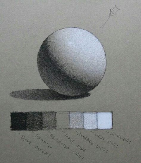 Pencil Shading Techniques, David Gray, Geometrical Shapes, Shading Techniques, Pencil Shading, Object Drawing, Drawing Exercises, 흑백 그��림, Basic Drawing