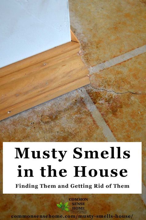 Musty Smell In House, Old House Smells, Basement Odor, Mold Smell, Carpet Smell, Mildew Smell, Get Rid Of Mold, House Smell Good, Feminine Health