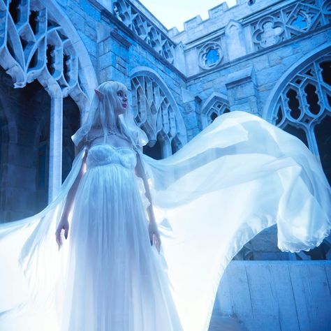 Firefly Path Faerie Cosplay, Cape Fantasy, Fantasy Cape, Firefly Path, Fantasy Elf, Magic Dress, White Ombre, Fantasy Photography, Fantasy Gowns