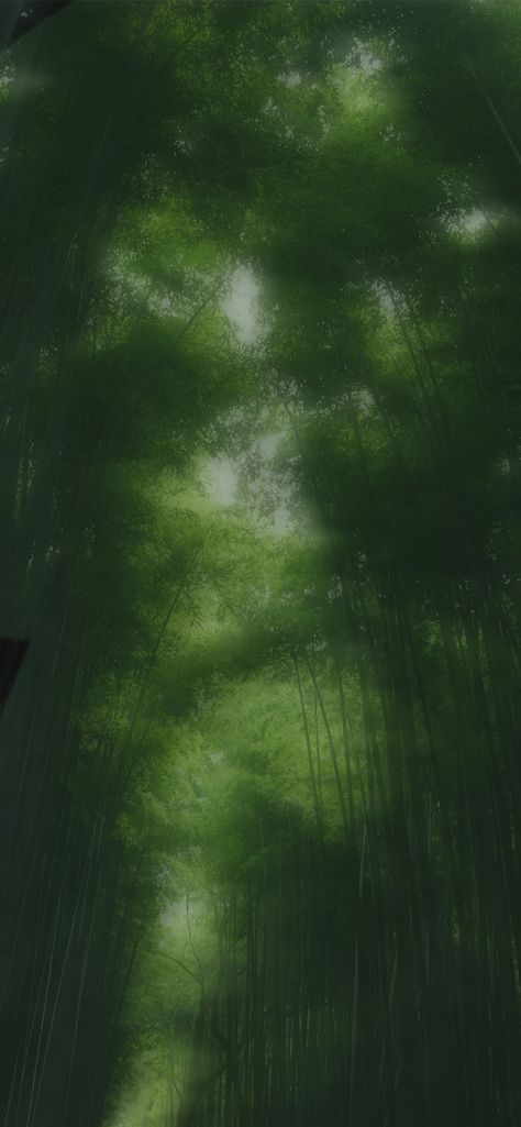 [{It's a blurry forest what can I say}] Blurry Background Wallpaper, Blurry Nature Background, Drawing Backrounds Ideas, Blurry Background Painting, Blurry Nature Aesthetic, Green Leaf Background Aesthetic, Blurry Green Aesthetic, Green Painting Wallpaper, Forest Phone Background