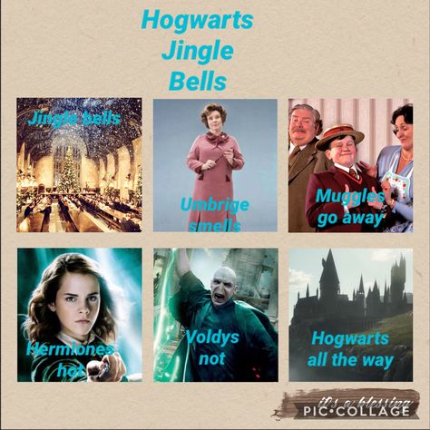 Funny Hogwarts, Quotes Christmas Funny, Harry Potter Memes Clean, Chalk Photography, Harry Potter Song, Funny Song, Hogwarts Christmas, Quotes Christmas, Harry Potter Memes Hilarious