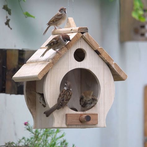 Bird House Camera, Painted Wood Bird Houses, Wood Turning Projects Awesome Ideas, Bird Feeder Ideas, Wood Bird House, Cool Bird Houses, Popsicle Stick Crafts House, Bird House Plans Free, Tre Kunst