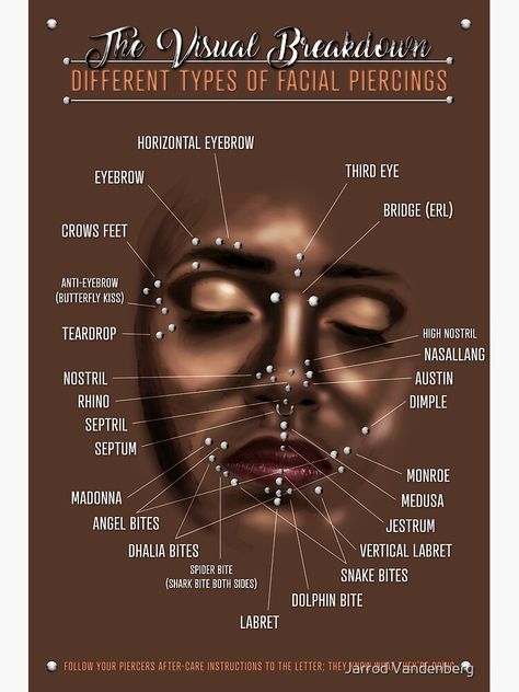 Facial Piercing Infographic Chart Poster Piercing Poster, Types Of Facial Piercings, Face Dermal Piercing, Face Dermal, Piercing Facial, Types Of Facial, Facial Piercing, Art Types, Cheek Piercings