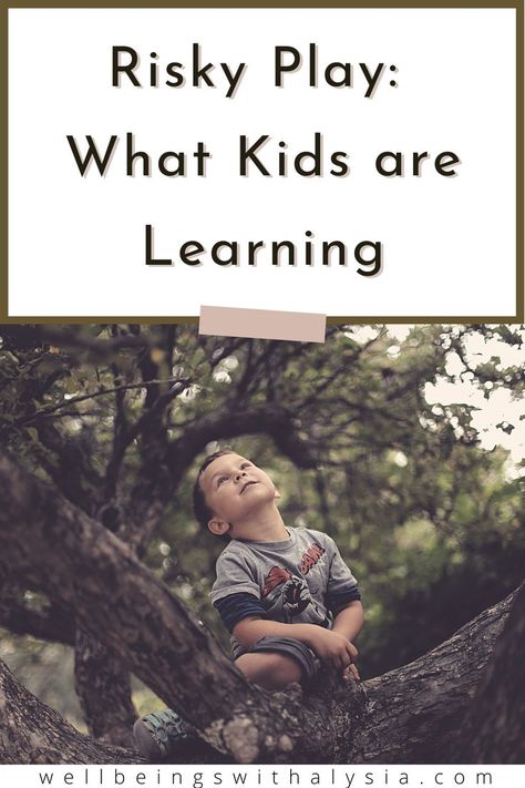 Wild Schooling, Risky Play, Natural Classroom, Forest Classroom, Child Development Theories, Brave Kids, Learning Stories, Kids Climbing, Challenges Activities