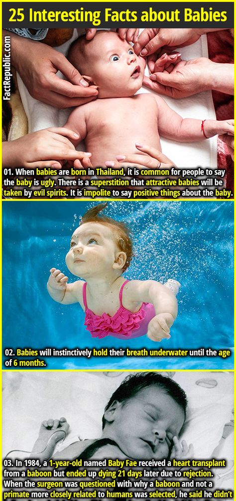 Facts About Babies, Interesting Health Facts, Fact Republic, Interesting Science Facts, Fun Facts About Life, True Interesting Facts, Fun Facts About Yourself, Cool Science Facts, Baby Life Hacks