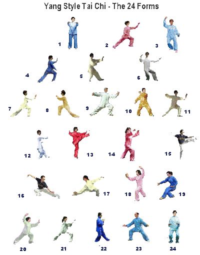 24 form tai chi Yang Style Tai Chi, Tai Chi Moves, Qui Gong, Learn Tai Chi, Tai Chi For Beginners, Martial Arts Forms, Chi Gong, Tai Chi Exercise, Tai Chi Qigong