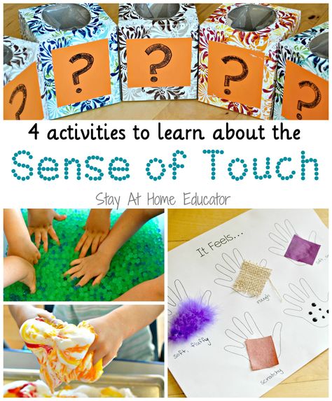 Any preschool five senses theme includes some educational activities exploring the sense of touch. Here are four activities to teach about the sense of touch. 5 Senses Preschool, Five Senses Preschool, 5 Senses Activities, Box Activities, Sensory Activities For Preschoolers, Senses Preschool, My Five Senses, Body Preschool, Senses Activities