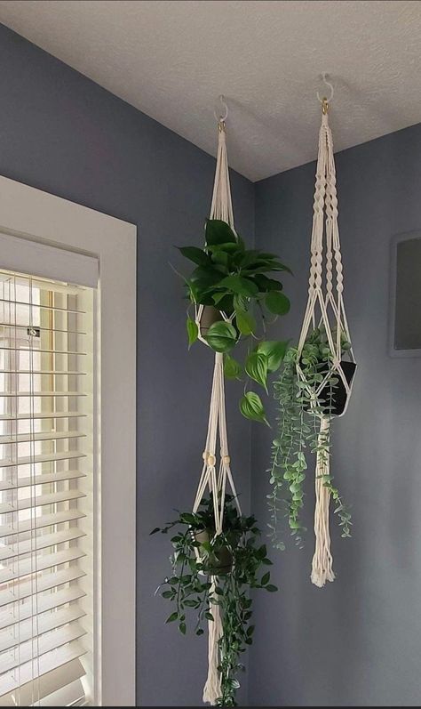 Art Macramé, Plant Care Guide, Tattoo Plant, College Room Decor, Macrame Hanging Planter, Hanging Plants Indoor, Pot Hanger, Cat Ideas, Pothos Plant