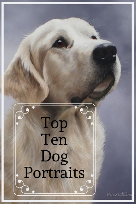 My Top Ten Dog Portraits from Pinterest #DogArt #DogPortrait Portrait Background Painting, Portrait Background Ideas, Dog Painting Ideas, Dog Quiz, Dog Drawing Tutorial, Lab Retriever, Goldendoodle Grooming, Painting Dogs, Portraits Painting