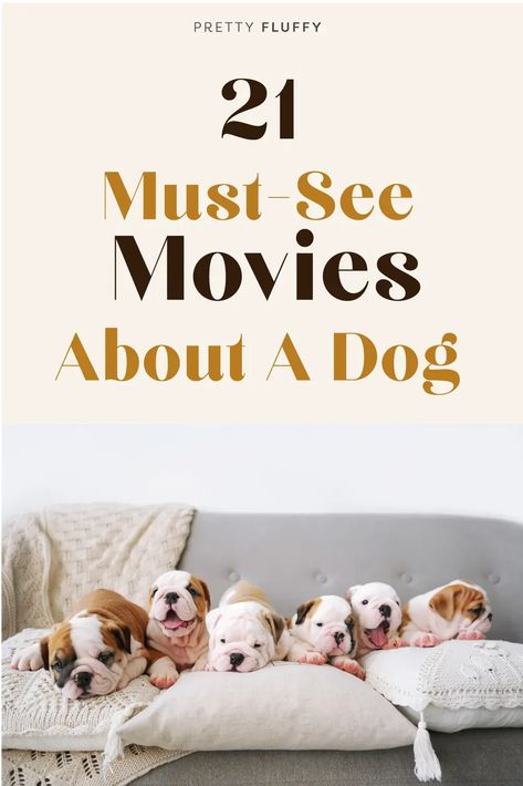 Pet Photography Tips, Dog Lifestyle, Living With Dogs, Dog Obsessed, Dog Movies, Diy Dog Treats, See Movie, About Dogs, Dog Party