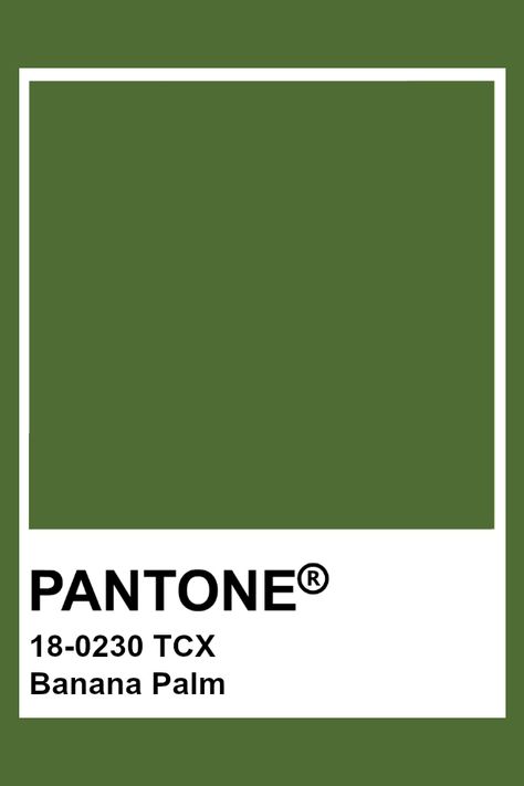 PANTONE 18-0230 TCX Banana Palm #pantone #color Matcha Color Pallette, Matcha Green Color Palette, Pantone Vert, Pantone Colors Green, Pantone Green Colors, Pantone Verde, Pantone Tcx, Pantone Green, Pantone Greenery