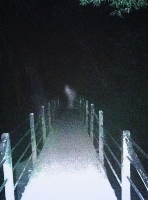 Footbridge Phantom The photo above was taken at Vassals Park in Bristol, England. The property was once part of a handsome estate and is reportedly home to a ghostly monk who died for his faith. Does this picture show the man’s hooded form? Some believe the Duchess of Beaufort, who once resided nearby, also haunts the park. . . . . www.deadlive.co.uk #deadlive #deadliveevents #psychicreadings #ghosthunts #hauntedvenues #ghosthunting #spookynights #psychicevents #ghosthuntingequipment #psychicnig Types Of Ghosts, Paranormal Aesthetic, Real Ghost Photos, Spooky Halloween Pictures, Ghost Sightings, Creepy Photos, Scary Stuff, Real Ghosts, Haunted Dolls