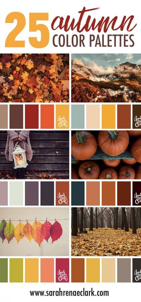 Autumn Decor Color Palette, Color Pallets Inspiration For Home, Fall Cookie Color Palette, Fall Palette Colour Schemes, Orange Wood Color Palette, Fall Color Palate, Fall Color Bedroom Ideas, Pastel Fall Colors, Fall Decor Color Schemes