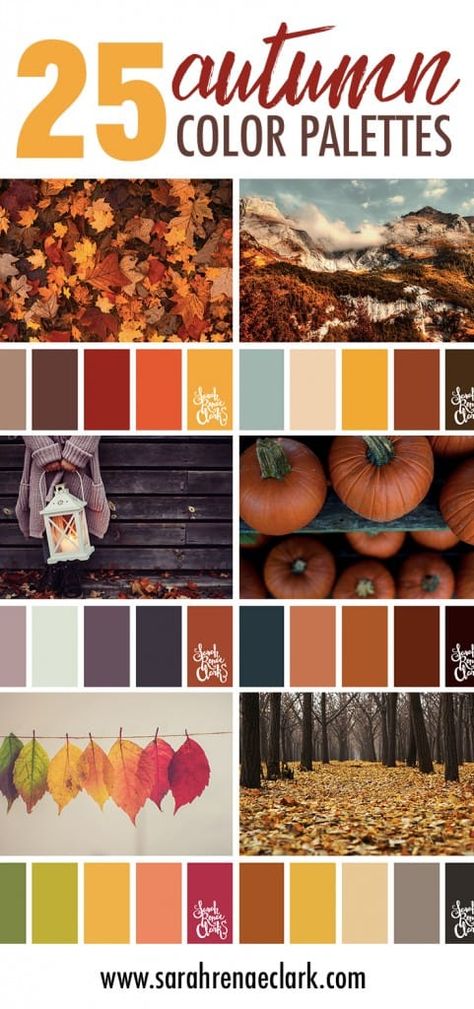 Autumn Decor Color Palette, Color Pallets Inspiration For Home, Fall Cookie Color Palette, Fall Palette Colour Schemes, Fall Color Palate, Orange Wood Color Palette, Fall Color Palette Home, Fall Color Bedroom Ideas, Fall Decor Color Schemes