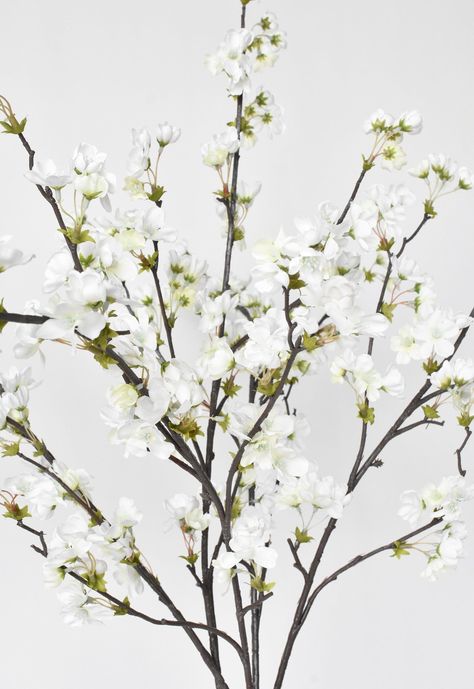 Expensive Flowers, Apricot Blossom, White Cherry Blossom, Floral Branch, Lexington Ky, Dark Corners, Flower Branch, Stay Fresh, Spring Inspiration