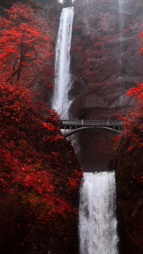 Infrared Photography, Front Yard Landscaping Design Layout, Landscaping Front Yard, तितली वॉलपेपर, Multnomah Falls, Front Yard Landscaping Ideas, Yard Landscaping Ideas, Scenery Pictures, Oregon Usa