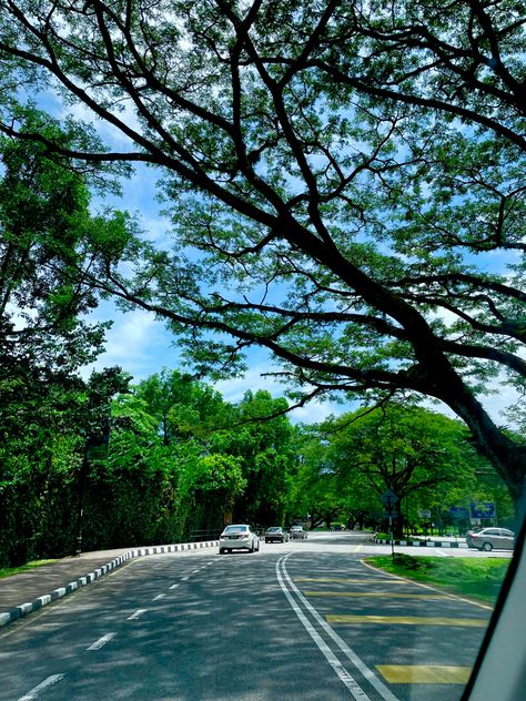 “Raintown”. The average annual rainfall is about 4,000mm in Taiping while the peninsula's average is 2,000mm – 2,500mm. Its unusual rainfall has also led to a fertile collection of flora and century-old rain trees in the Taiping Lake Garden Taiping, Fertility, Nature, Trees, Taiping Perak, Perak Malaysia, Lake Garden, Lake, Led