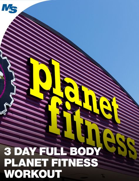 In this edition of a series of Planet Fitness appropriate workouts, we provide a 3 day full body workout one could do with the equipment at Planet Fitness. #PlanetFitness #Workout #DumbbellOnly 3 Day Full Body Workout, Planet Fitness Workout Plan, Weight Lifting Routine, Planet Fitness, Fitness Style, Fun Fitness, Planet Fitness Workout, Acro Yoga, Workout Plan Gym
