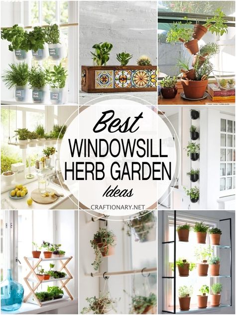 Learn how to grow a successfully planted herb garden from seeds indoors in your windowsill in the kitchen with creative ideas for home. Diy Herb Indoor Garden, Kitchen Hanging Herb Garden, In Kitchen Herb Garden, Indoor Plants In Kitchen Ideas, Diy Window Herb Garden Kitchens, Herb Garden In Apartment, Herbs In Pots Kitchen, Windowsill Planter Indoor, Large Window Plant Ideas